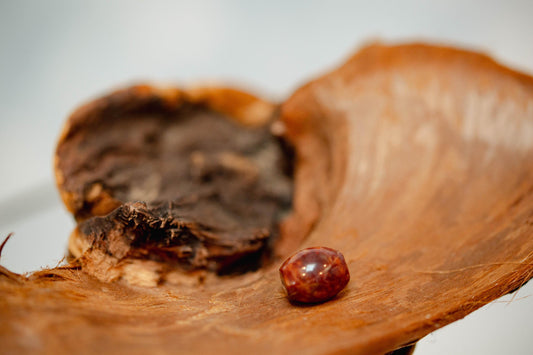 Red Morgan Hill Poppy Jasper Bead